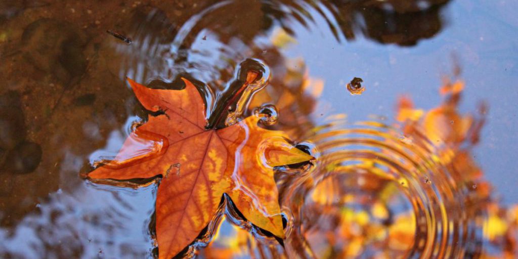 Дожди и холод не покинут Украину, но есть нюанс