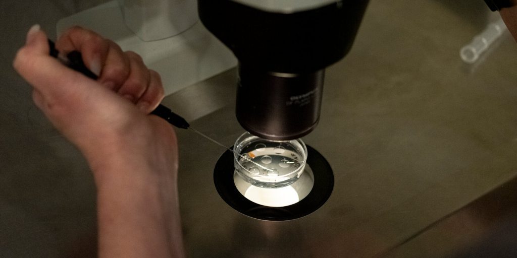 White House Set to Announce Proposal Seeking to Make I.V.F. More Accessible