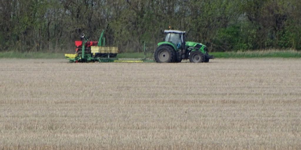 Circa un milione di ettari di terreno seminato a colture invernali nella regione di Stavropol'