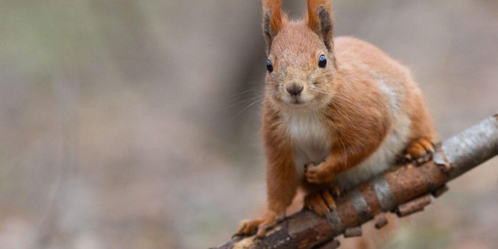 Сегодня киевлян ждет самый холодный день недели