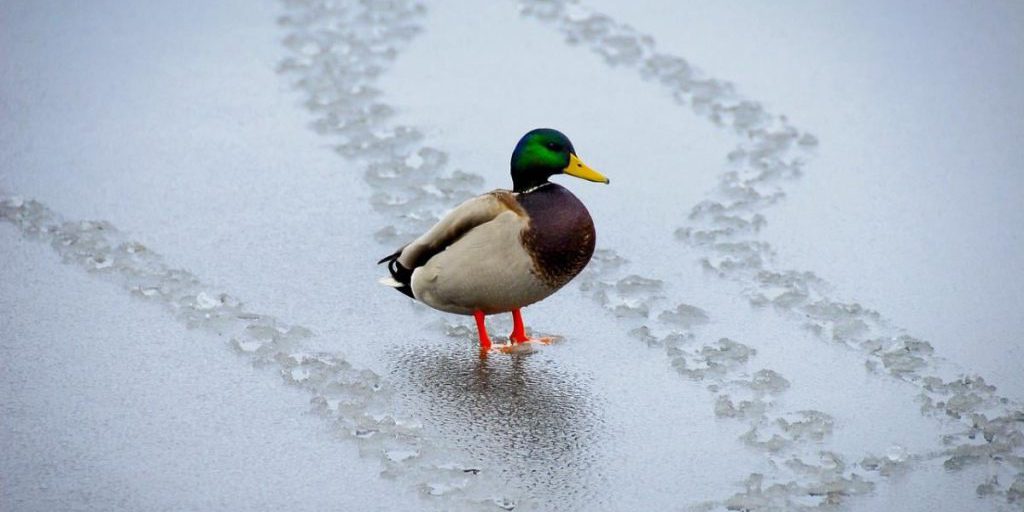 Kiev si riscalderà a zero prima del weekend