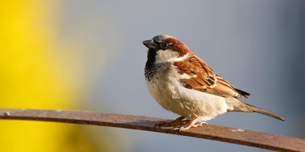 Немного погреемся: синоптик Диденко порадовала украинцев прогнозом