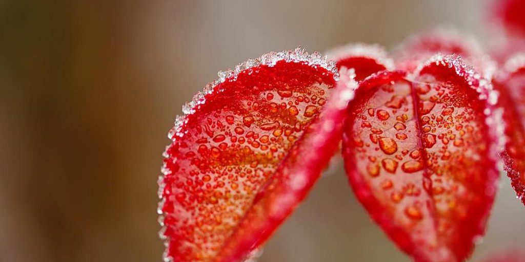 19 октября похолодание с дождями и мокрым снегом накроет почти всю Украину