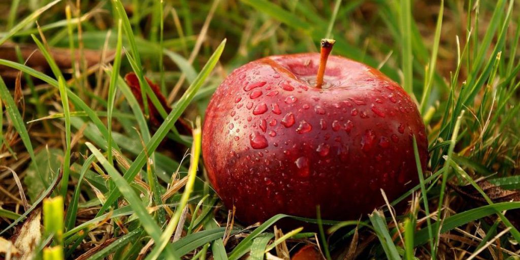 Неделя в Украине начнется без сильного холода, но с дождями