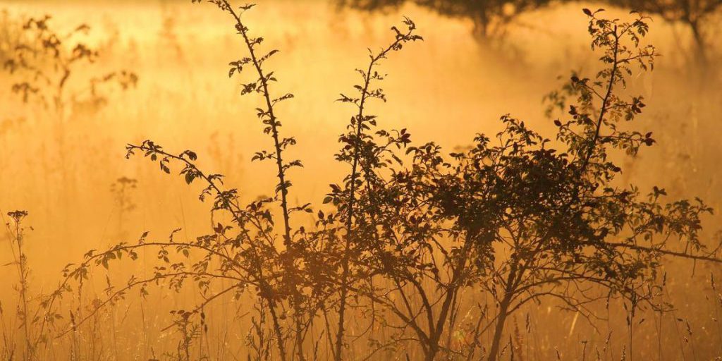 В Днепре объявили І уровень опасности: что произошло