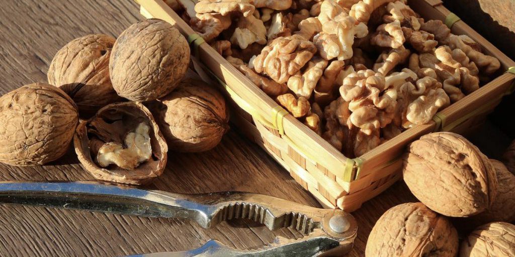 Что будет с организмом, если есть грецкие орехи каждый день