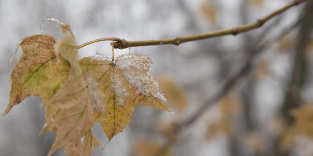 Похолодание с дождями и мокрым снегом уже на пороге: синоптик назвала точные даты