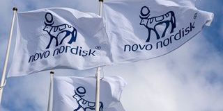 Acquisizione Strategica nel Settore Farmaceutico: Novo Nordisk Sviluppa il Suo Portafoglio con l'Acquisto di Akero Therapeutics per 5,2 Miliardi di Dollari