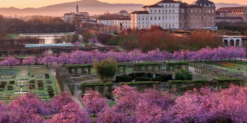 Reggia di Venaria apre gratuitamente ai residenti studenteschi a partire dal 19 gennaio