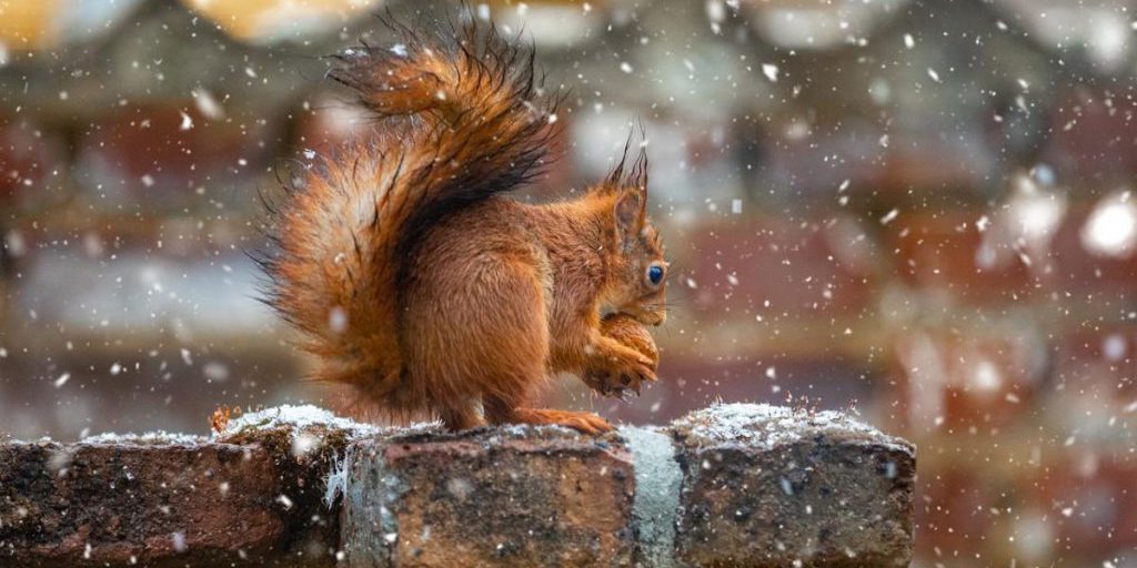 Previsioni Meteo Avverse per Leopoli: Impatto sulla Vita Quotidiana e Sicurezza Stradale