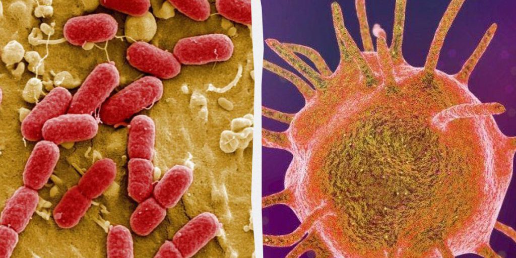 La Resistenza Batterica agli Antibiotici: Una Minaccia per la Salute Pubblica