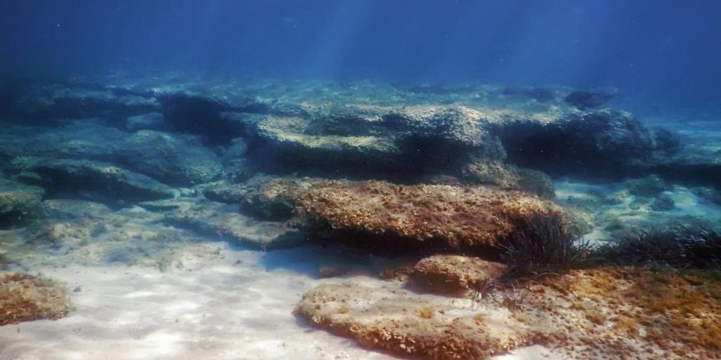 Frattura lenta della crosta oceanica del Pacifico: scienziati osservano nuove microplacche