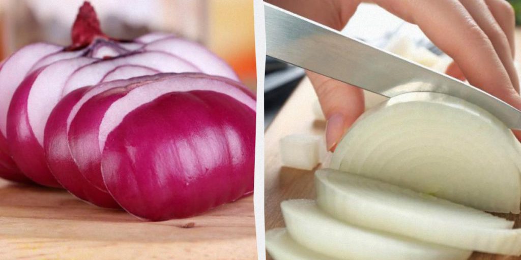 Какой лук полезнее - белый или красный: диетологи дали точный ответ