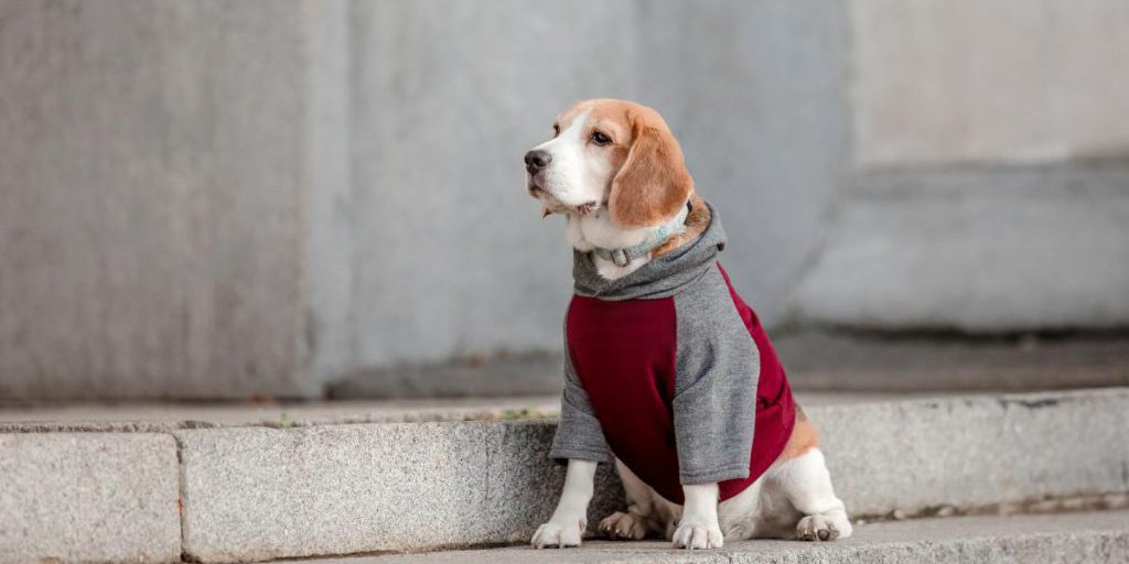 Синоптик сообщила о похолодании в Украине: где снизится температура