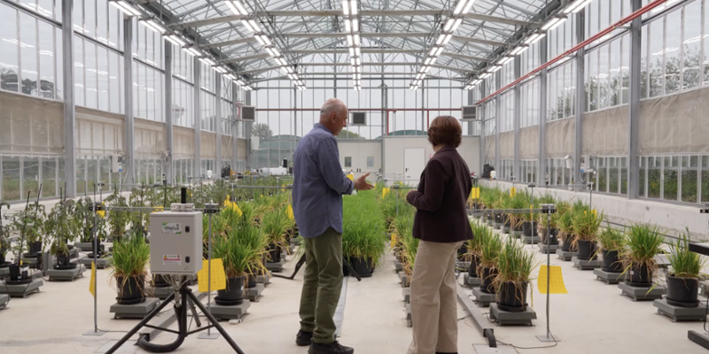 174613165-c565f200-1eb6-4e53-a4d1-acd3cec5d7b5-1