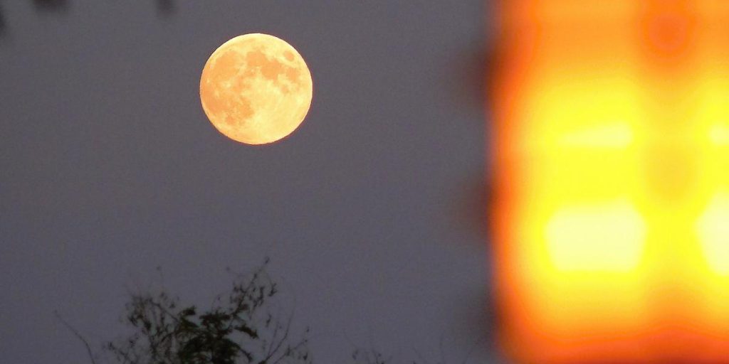 Novembre 2025: Scopri i Giorni Fortunati secondo il Calendario Lunare per Attractare Denaro e Amore nella Tua Vita