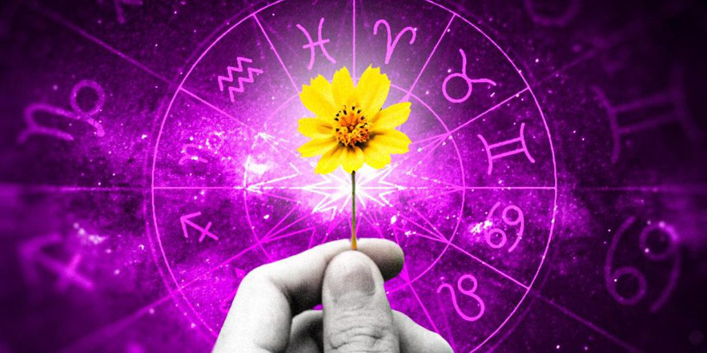 I Cinque Segni Zodiacali Destinati al Successo: Come le Stelle Influenceranno la Tua Vita