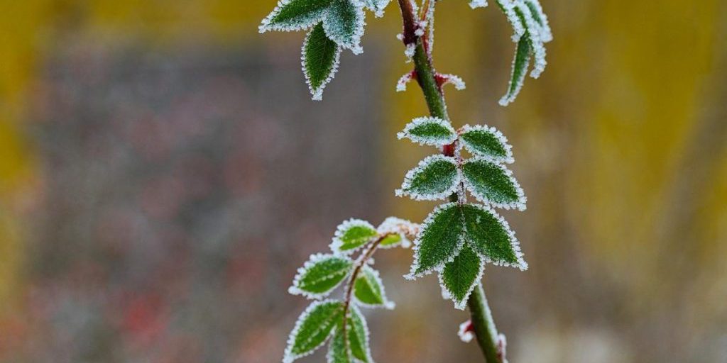 В Харькове на две ночи подряд объявили І уровень опасности: что происходит