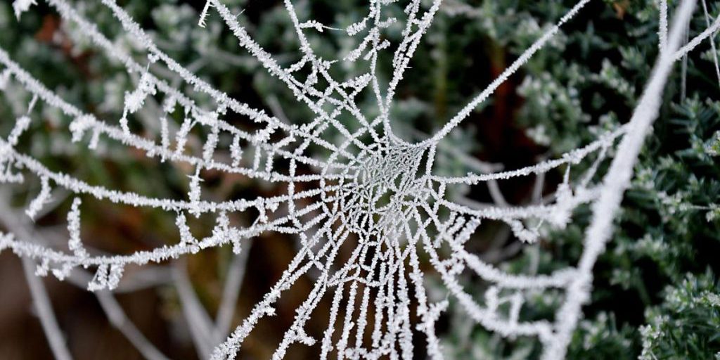 Две волны похолодания идут в Украину: синоптик назвал точные даты