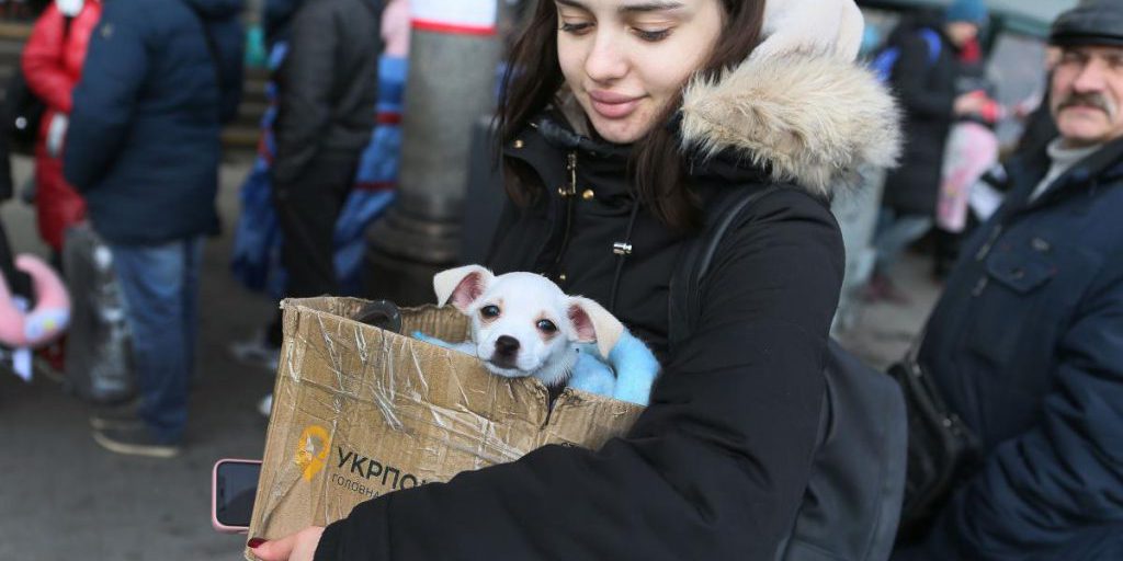 Будут взвешивать четыре фактора: эксперт оценил, сколько украинцев вернутся домой после войны