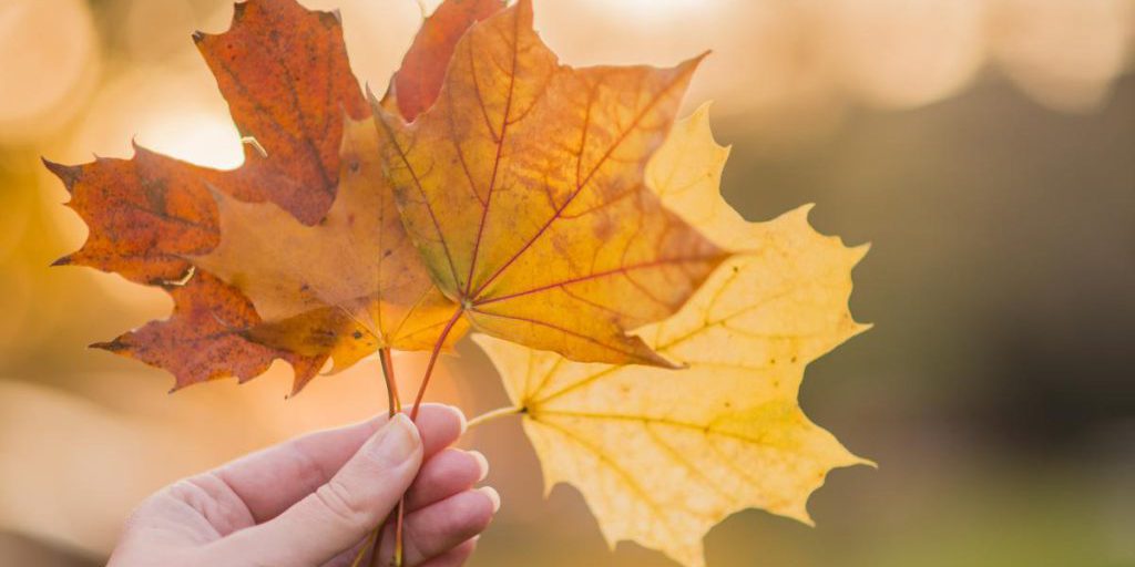 22 октября в Украине станет еще теплее