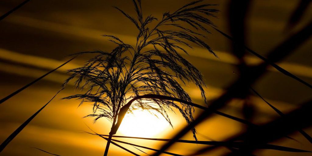 Calendario Lunare Ottobre 2025: Come Sfruttare al Meglio le Fasi della Luna per il Tuo Successo Quotidiano