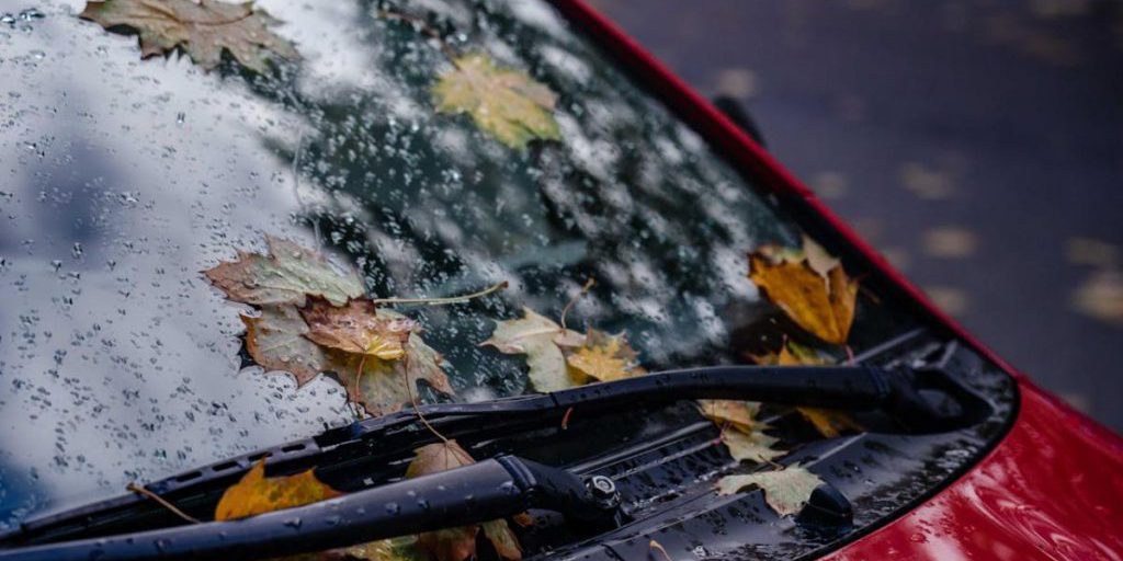 20 октября теплее в Украине не станет