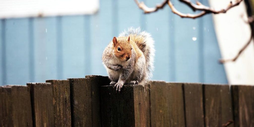 Kiev: 29 gennaio l'ultimo giorno caldo prima del nuovo raffreddamento