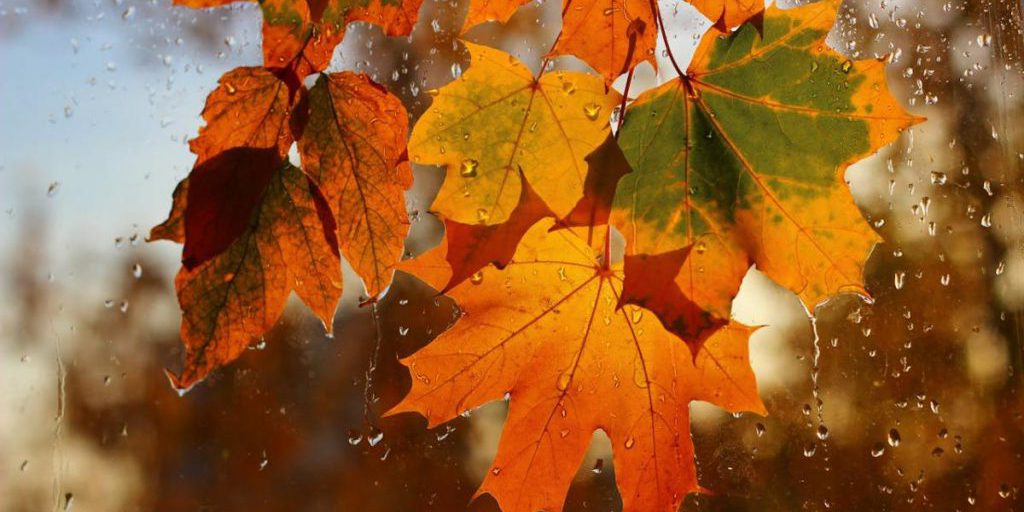 На выходных погода в Украине изменится