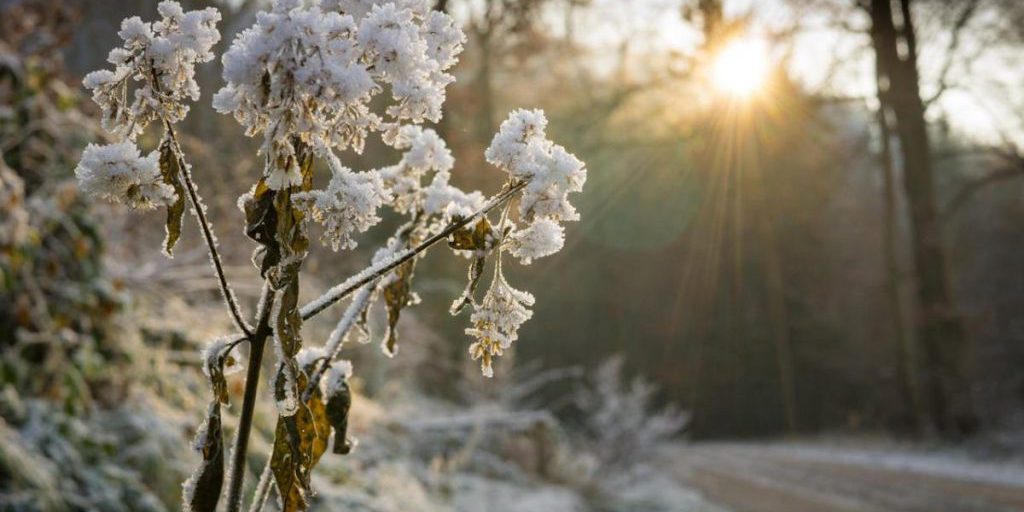 Condizioni Meteorologiche in Peggioramento in Ucraina: Gelate e Neve Mista a Pioggia in Arrivo