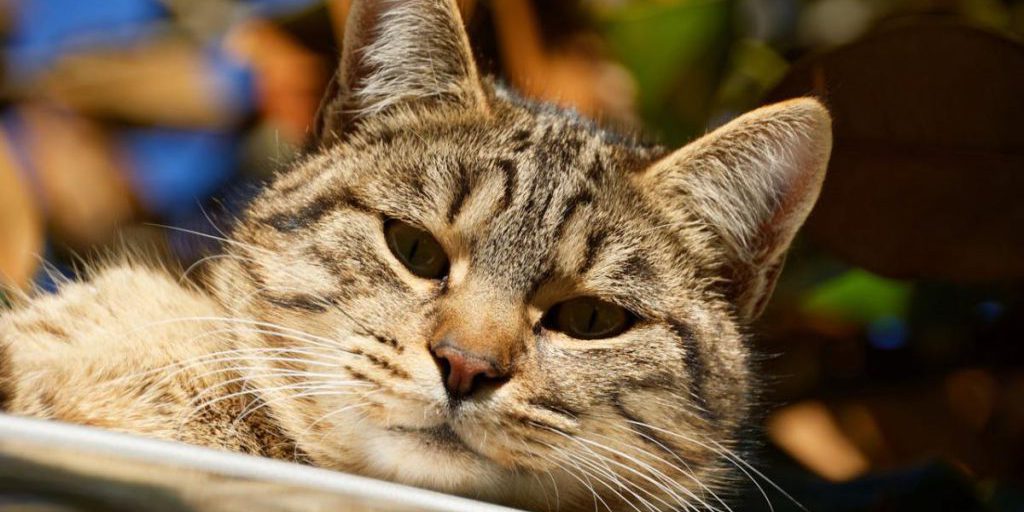 Синоптик сообщила, когда в Украине наконец-то может потеплеть