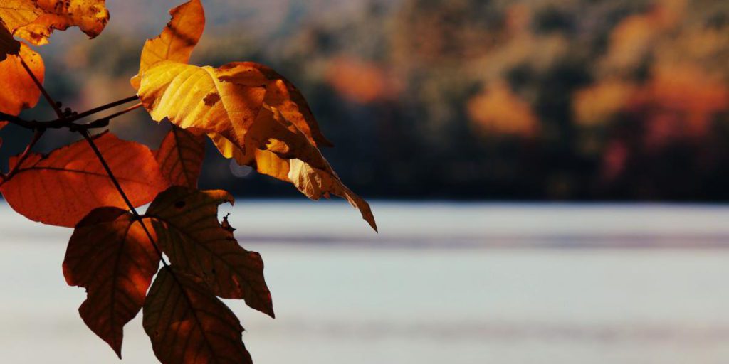 Miglioramento del tempo in Ucraina: temperature in aumento e precipitazioni in diminuzione per il 21 ottobre