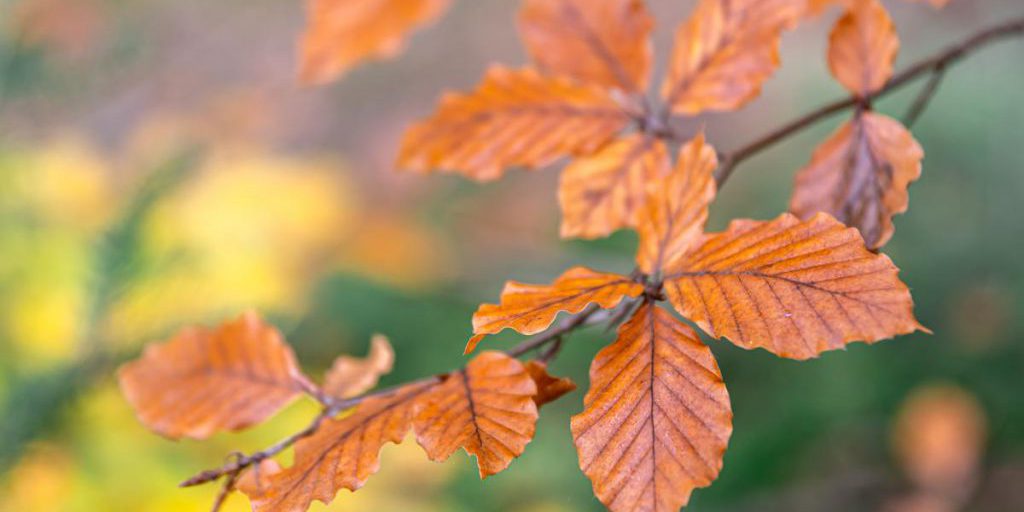 16 октября дожди покинут Украину и даже слегка потеплеет