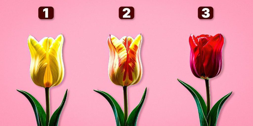 Scopri il Tuo Futuro con il Test dei Tulipani: Una Guida alla Previsione Personale