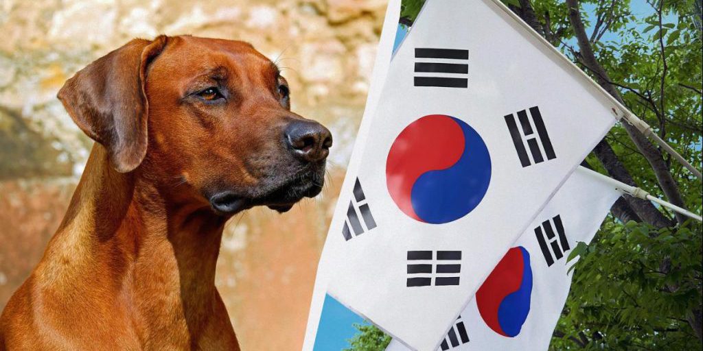 Il Consumo di Carne di Cane nel Mondo: Una Pratica Ancora Diffusa in Sei Paesi