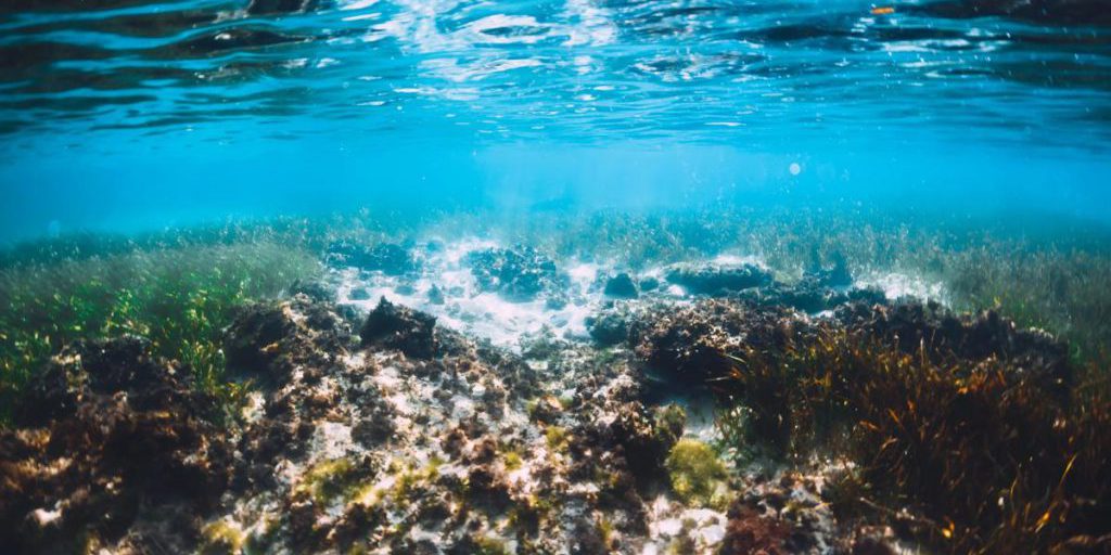 Может извергнуться в любой момент: ученые обнаружили таинственный вулкан на дне Тихого океана