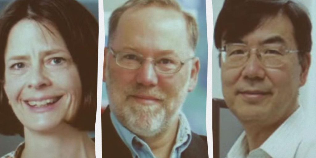 Premio Nobel 2025 per la Medicina: scoperta della tolleranza immunitaria periferica relativa, un passo avanti per la cura delle malattie autoimmuni