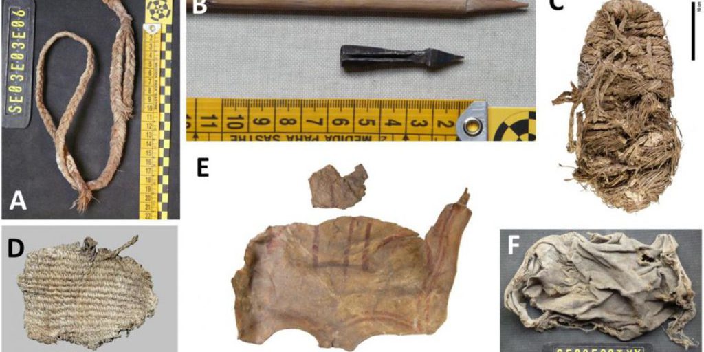 В гнездах стервятников неожиданно обнаружили древние вещи