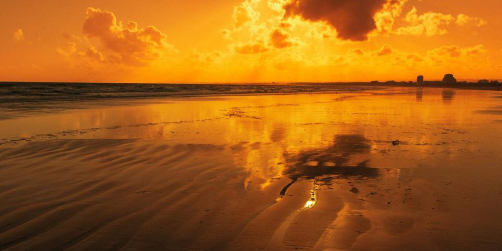 Жара меняет пищевые цепи океана и он перестает работать, как хранилище углерода, - ученые