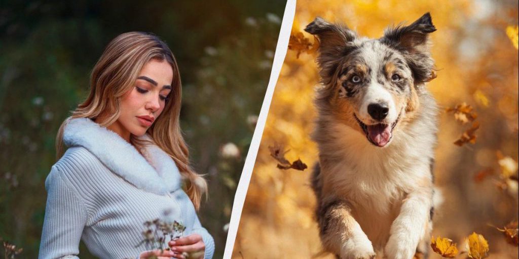 Кого поздравляют в Украине и о чем молятся верующие: приметы в праздник 8 октября