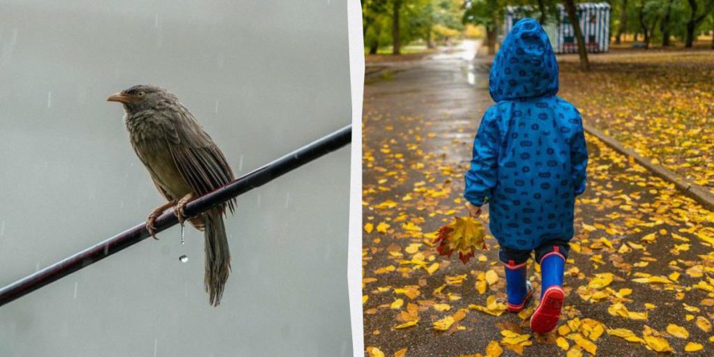 8 октября в Украине ожидаются сильные дожди: синоптик рассказала, где будет наиболее мокро