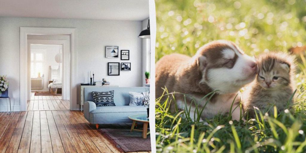 Снять жилье в Украине могут не все: кто рискует остаться "на улице"