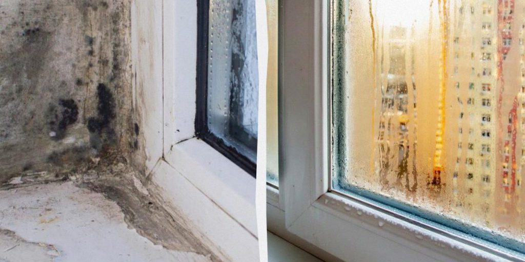 Когда нужно открывать окна, чтобы не было плесени и конденсата: названо точное время