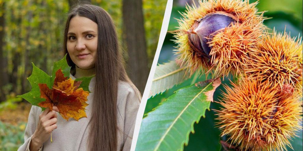 Сразу 4 профессиональных праздника отмечают в Украине: чем интересно 12 октября