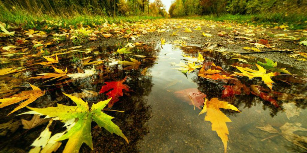 Дожди не прекращаются: 11 октября по всей Украине будет мокро