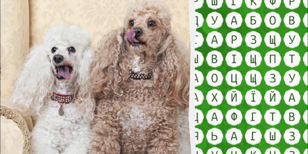 Mettiamo alla Prova le Tue Abilità Visive: Trova la Parola Pudel in 10 Secondi