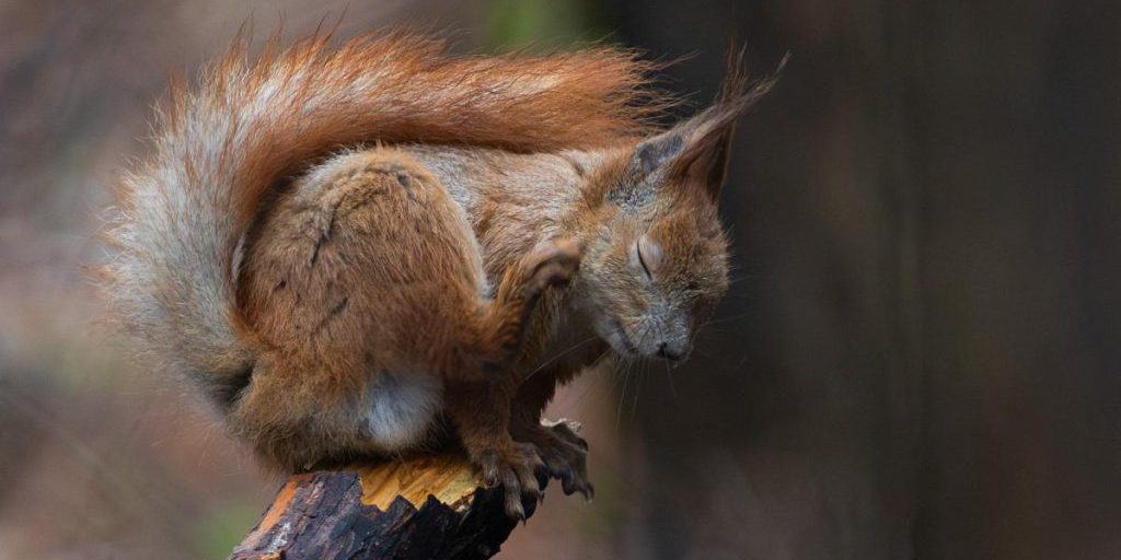 Previsioni Meteo a Kiev: Calo delle Temperature e Impatto sulla Vita Quotidiana