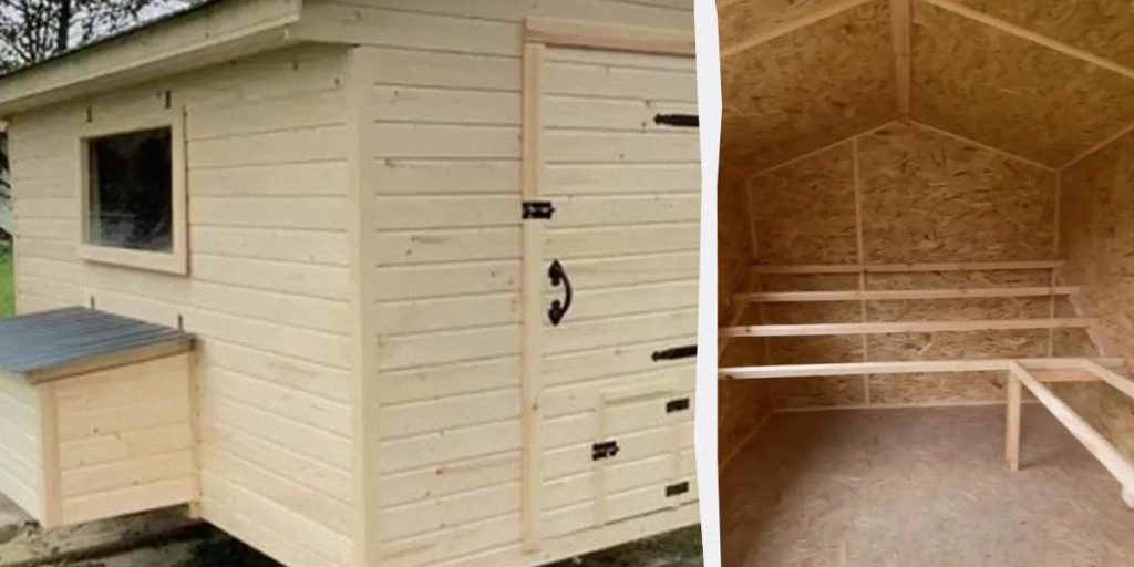 Pollai di Lusso in Ucraina: un Artigiano Scatena la Frenesia sulla Rete con la sua Creazione Unica