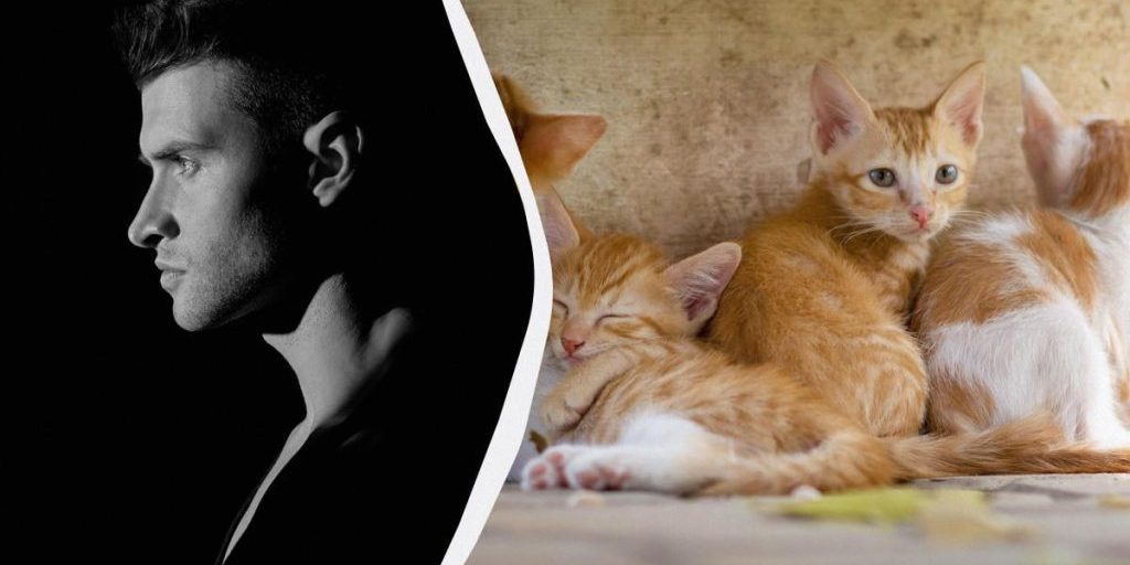 Учёные раскрыли мрачную правду о тех, кто не любит животных: это не просто равнодушие