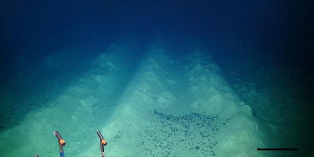 Segnali Misteriosi dal Fondo dell'Oceano Pacifico: La Scoperta che Rivela l'Impronta Umana